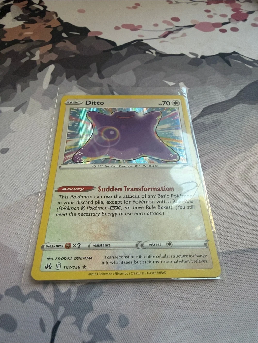 Pokemon fun ditto